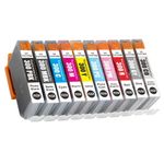 10 Pack Canon PFI-300 Compatible Ink Cartridges